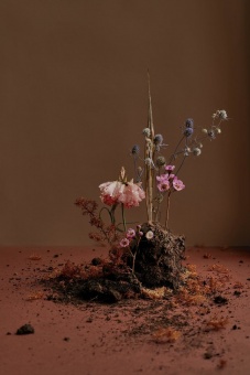 Floral serenade_3